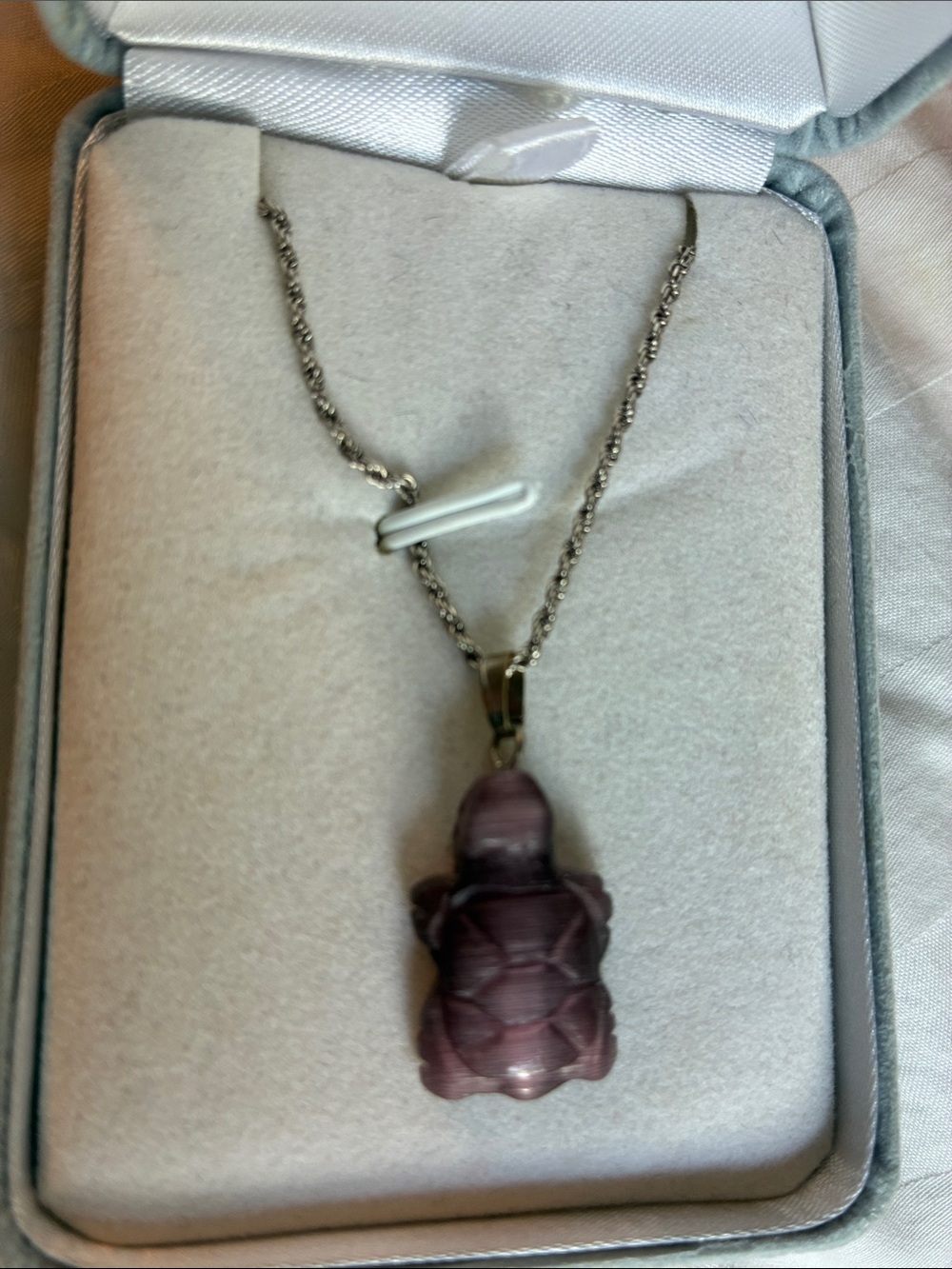 Carved Grape Agate Turtle Pendant- On 20 Inch Solid Sterling Siver Rope Chain
